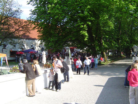 DSC06781